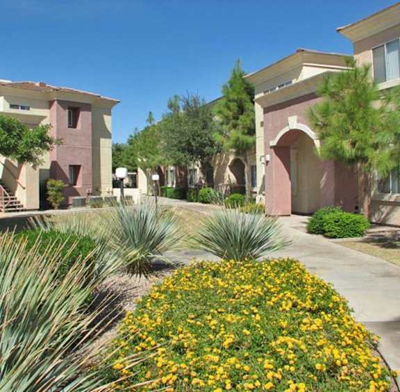 Lush green outdoor yards at The Groves, Arizona
