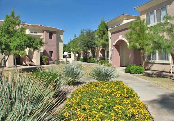 Lush green yard at The Groves, Mesa, 85212
