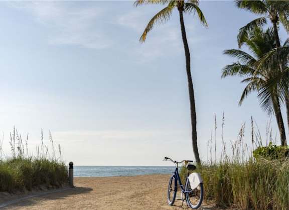 A bicycle is parked on a sandy beach next to a palm tree.