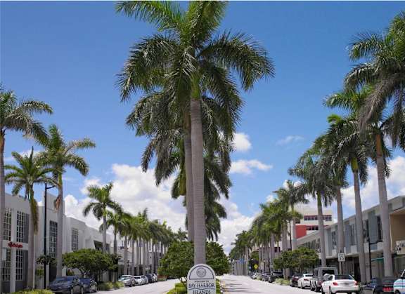 A street lined with palm trees and parked cars.