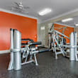 A gym with treadmills, exercise bikes, and weight machines.
