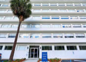 Thumbnail 10 of 10 - a palm tree in front of a large white building at The Mobile Lofts, Alabama, 36604