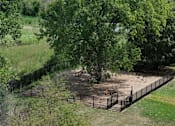 Thumbnail 30 of 41 - Dog Park