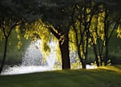 Thumbnail 45 of 45 - Ponds and fountain