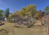 Thumbnail 22 of 22 - Community Garden Area at VINTAGE AT BOUQUET CANYON, California