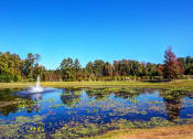 Thumbnail 33 of 44 - Lake View
