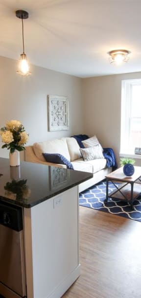 a living room with a kitchen and a couch