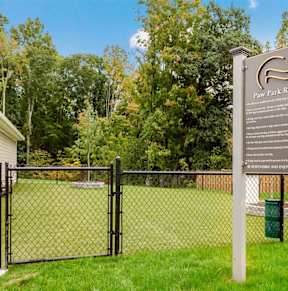 Paw Park