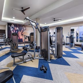 a gym with weights and cardio equipment in a luxury condo