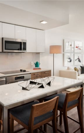 interior kitchen with premium appliances, floor to ceiling windows, natural light, spacious floorplan