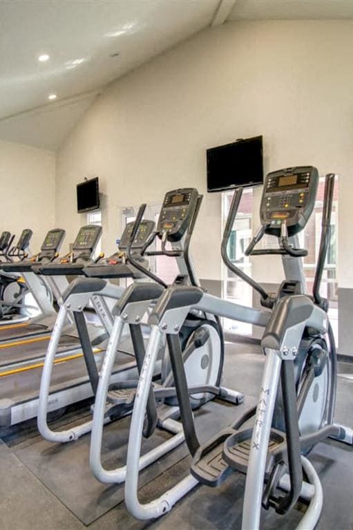 a row of cardio machines in a gym