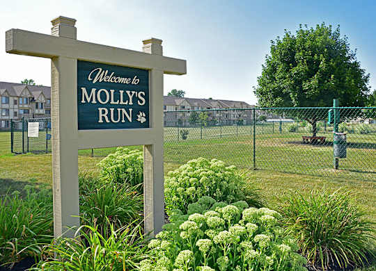 Dog Park at Thornridge Apartments, Grand Blanc, Michigan