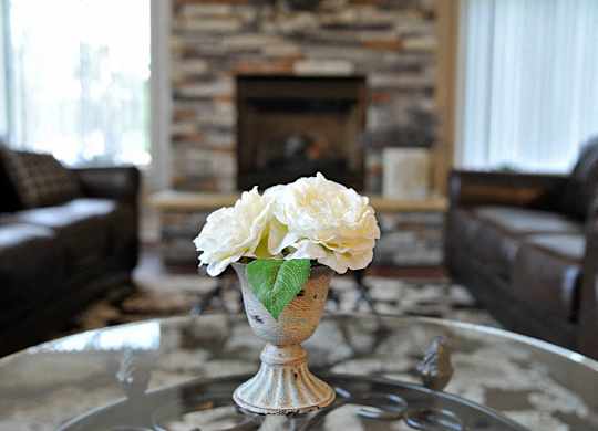 Decorated Clubhouse at Shannon Manor Townhouses, Michigan