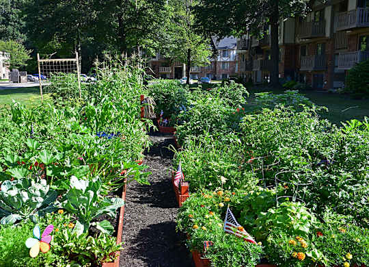 Community Gardens at Woodland Place, Midland