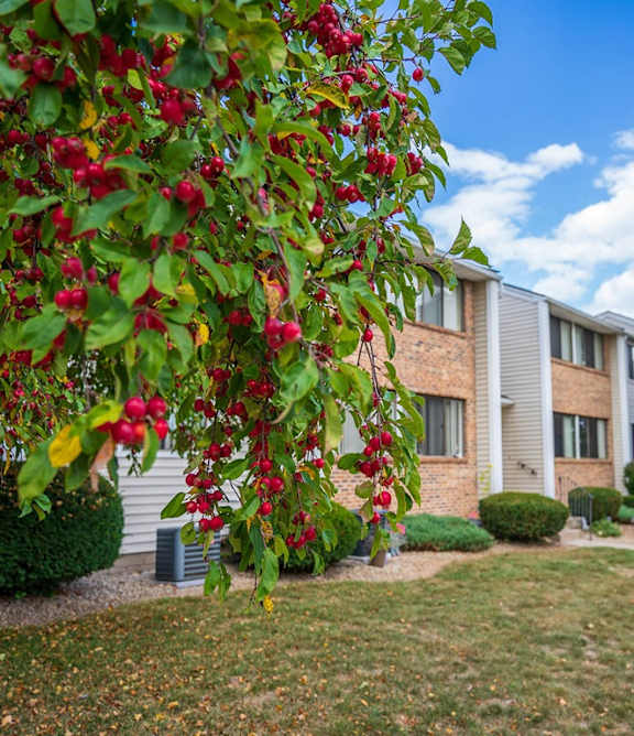 our apartments are located in the heart of a city
