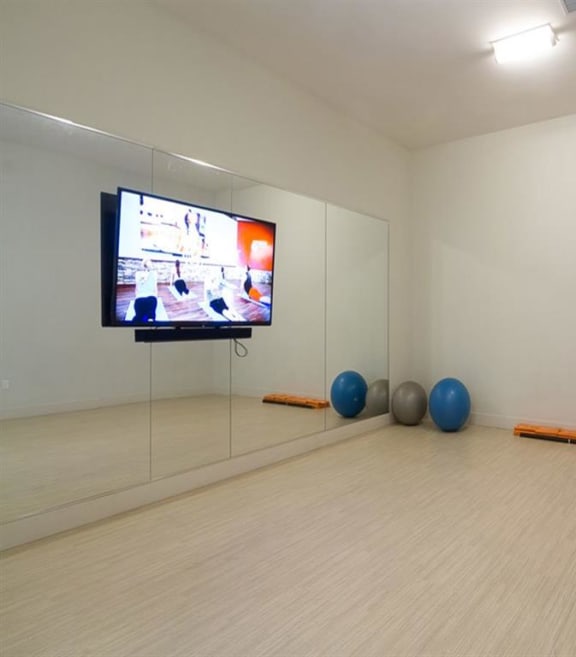 State Of The Art Yoga Room and Fitness Facility