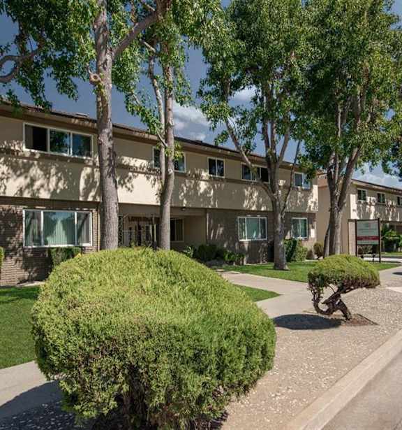 Sidewalk, trees, and apartment building
