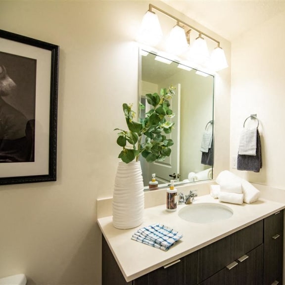 a bathroom with a sink and a mirror