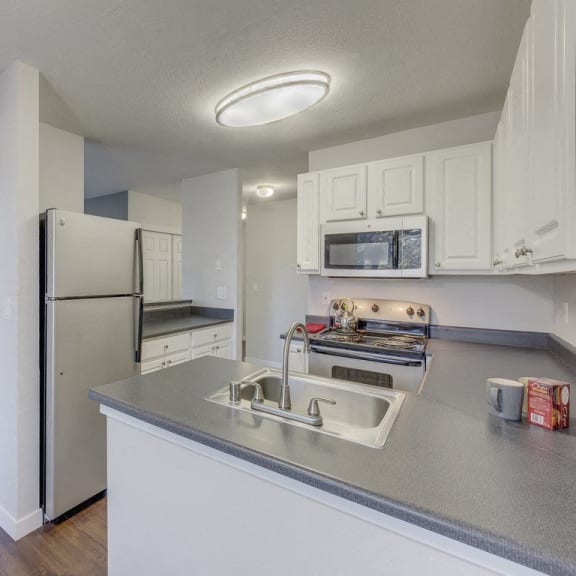 Nickel Creek Pet Friendly apartments in Lynnwood kitchen with stainless steel appliances