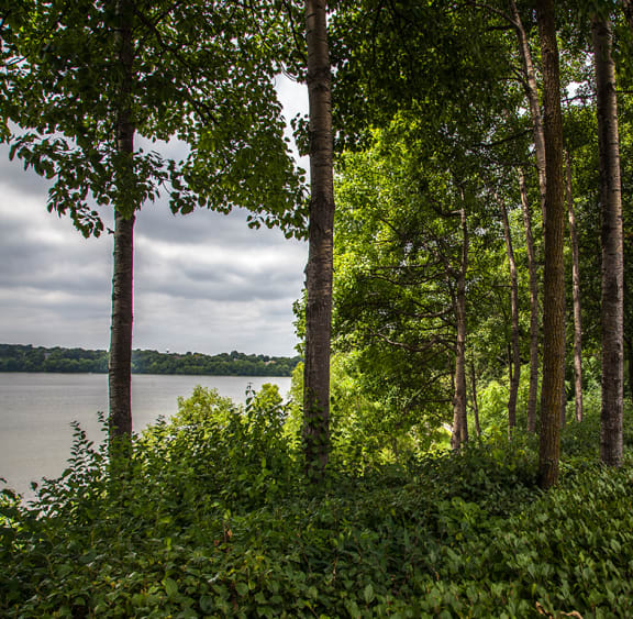 lake views