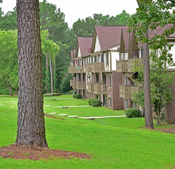 a living room with a couch and a television at Lake in the Pines Apartments in Fayetteville, NC