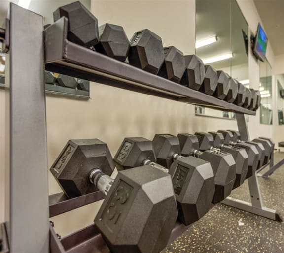 Free Weights at Lake Lofts at Deerwood, Jacksonville, FL, 32216