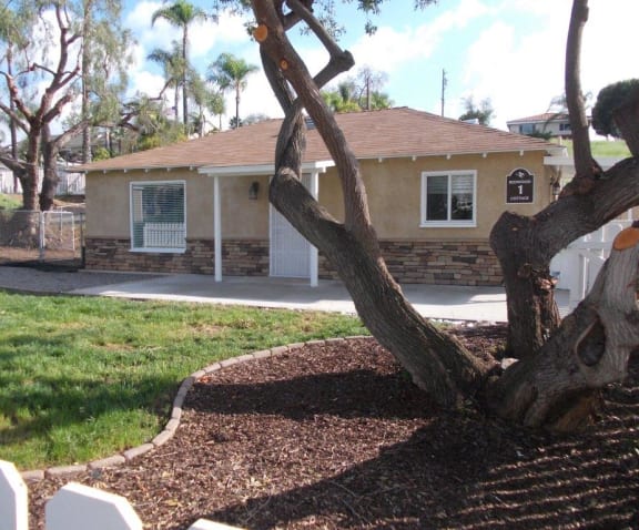 a tree in a yard in front of a house