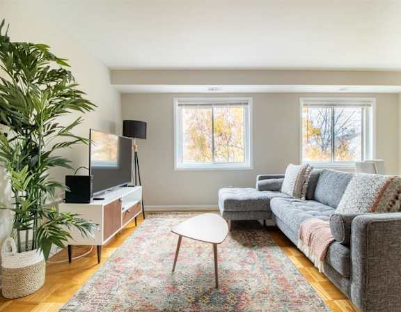 A living room with a grey couch, a television, and a plant.