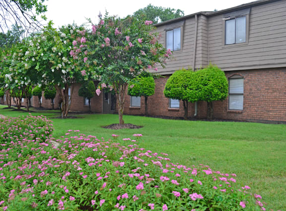 A field of pink flowers in front of a building.