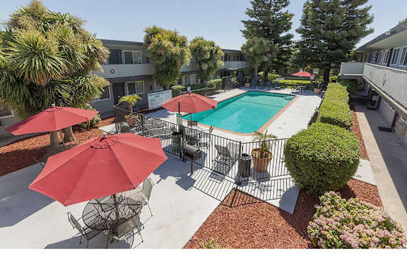 Apartments for Rent Hayward CA - Sparkling Pool Featuring Various Shaded Lounging Areas