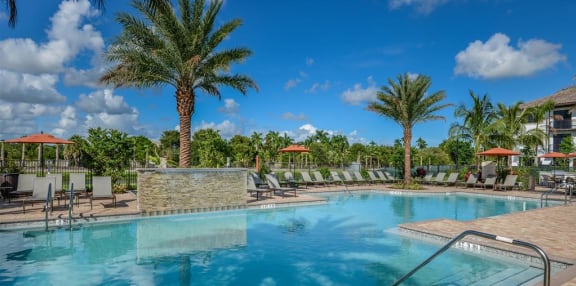 Swimming Pool at Palm Ranch Luxury Apartments in FL 33314