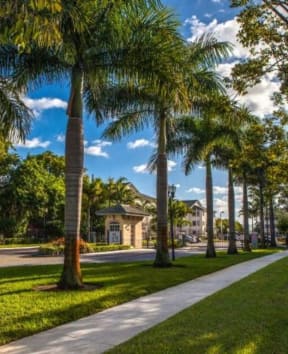 a sidewalk and palm trees in front of a house at Valencia Pointe, Miami, Florida