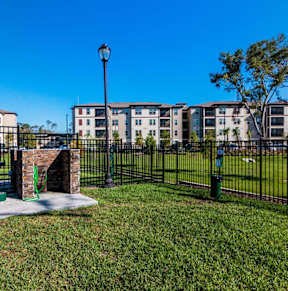 Paw Park and Wash Stations