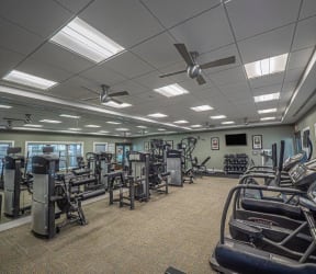 Large fitness room with cardio machines and other exercise equipment at Palmer View, Palmer Township, PA, 18045