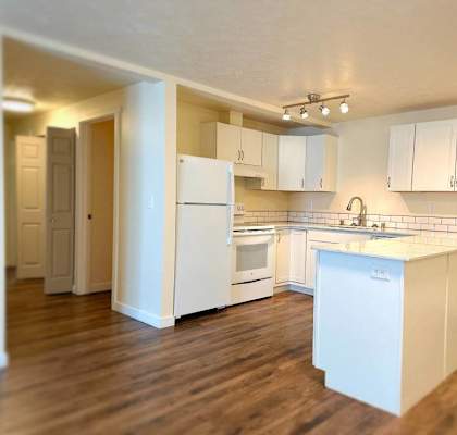 A kitchen with white appliances and cabinets.