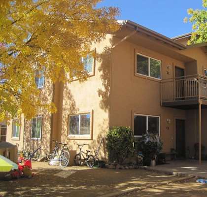 A yellow tree is in front of a tan house.