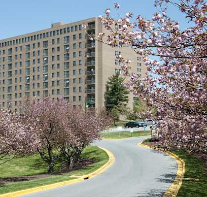 exterior with blooming trees at Remington Place Apartments in Fort Washington, MD