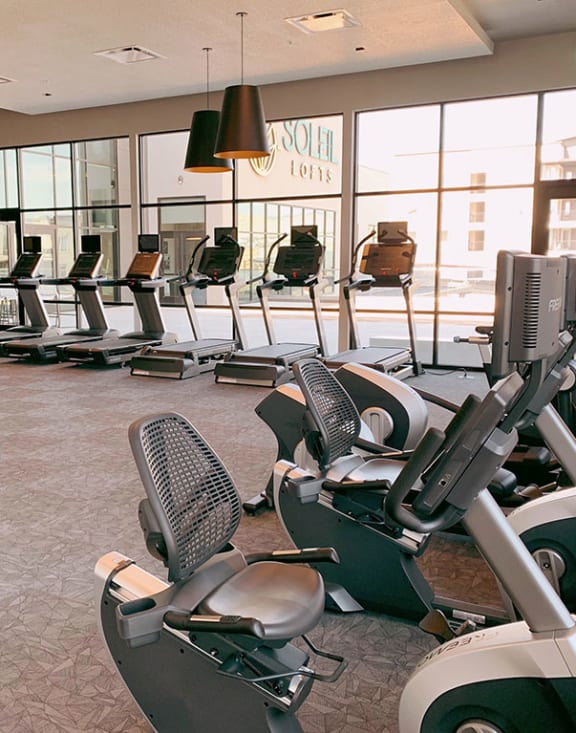 Fully Equipped Fitness Center with Large Windows