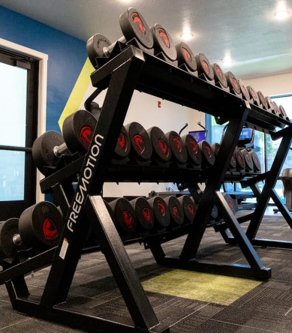 Free Weights in Gym at Ridge View Apartments