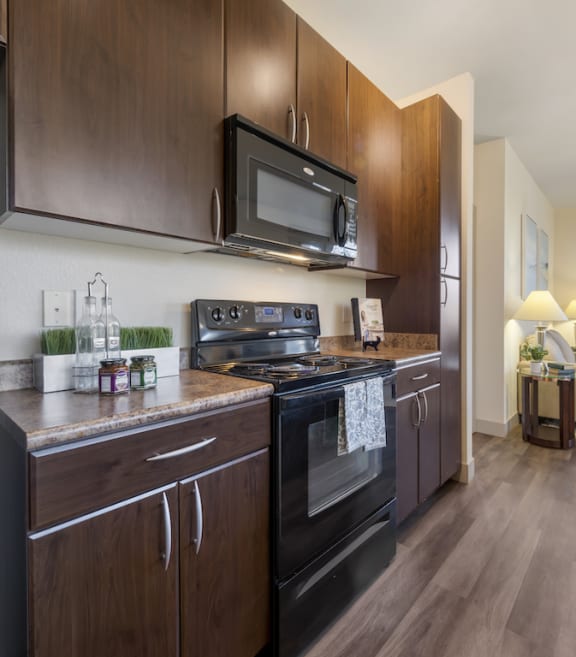 Modern Appliances in Kitchen at Avena Apartments, CO