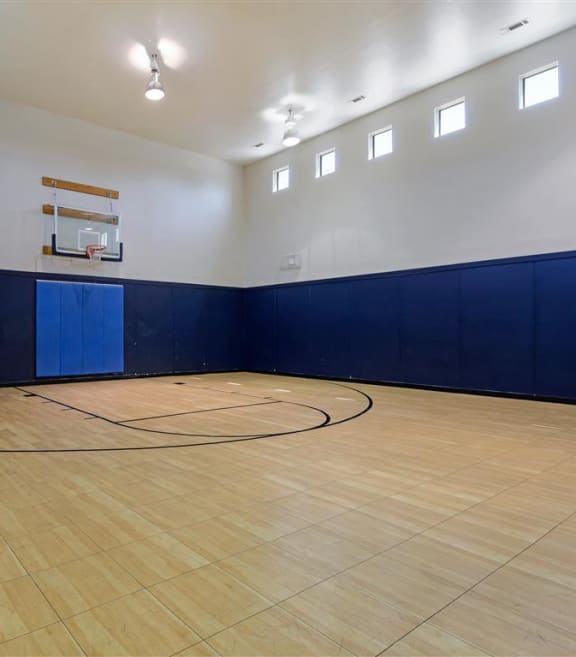 Basketball Court at Village of Hawks Creek, Westworth Village, TX, 76114