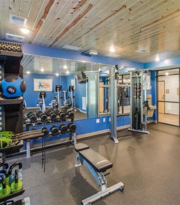 a gym with a lot of weights and equipment in it