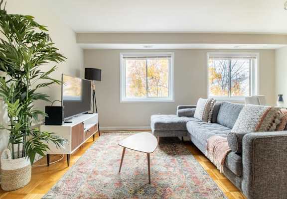 A living room with a grey couch, a television, and a plant.