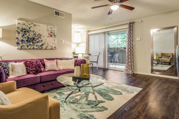 Modern Living Room at Newport Apartments, Texas, 75062