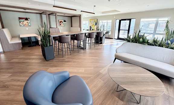 A modern living room with a grey sofa and a round chair.