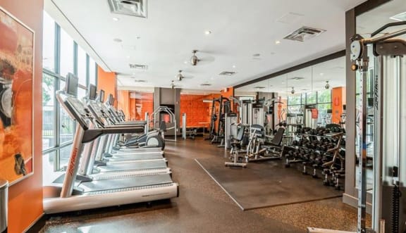 a gym with cardio equipment and a large window at Arrive Wheaton, Wheaton, Maryland