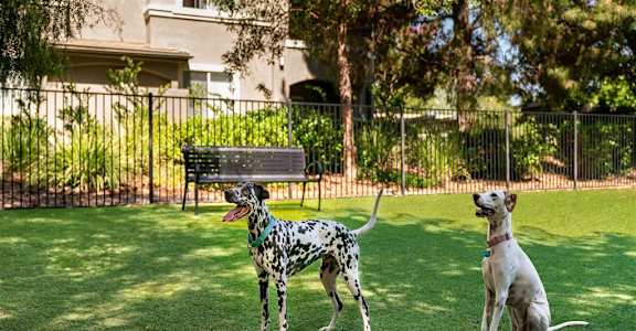 Dog Park  at Eagle Glen Apartments, Murrieta, 92563
