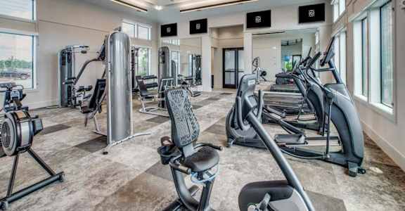 the gym is equipped with a variety of exercise equipment
