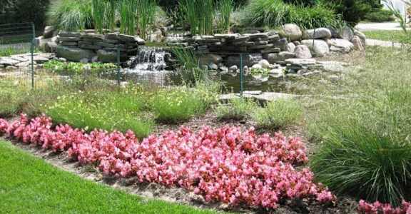 A garden with a waterfall and pink flowers.