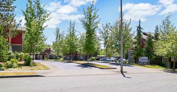 A street view with a clear sky and a few trees at THE MEADOWS BY VINTAGE, Bellingham, WA